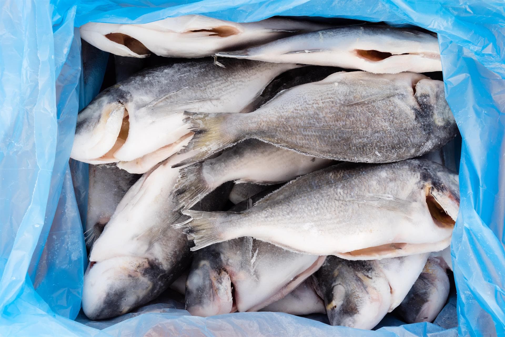 Venta de pescado congelado en Lugo - Congelados Sarrianos